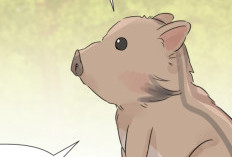 Read Manhwa Shifting Tails Chapter 9 English Scan, RAW! You're Acting Strange Today